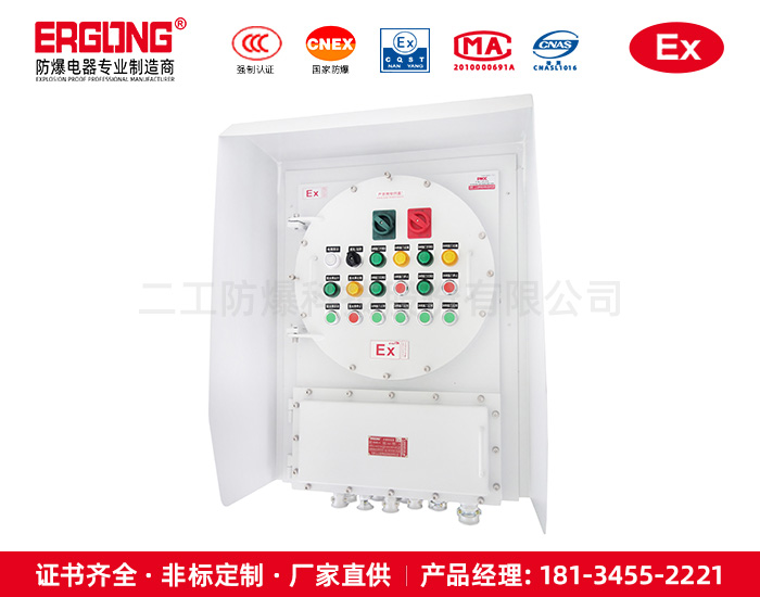 防爆配电箱-2CT级防爆配电箱