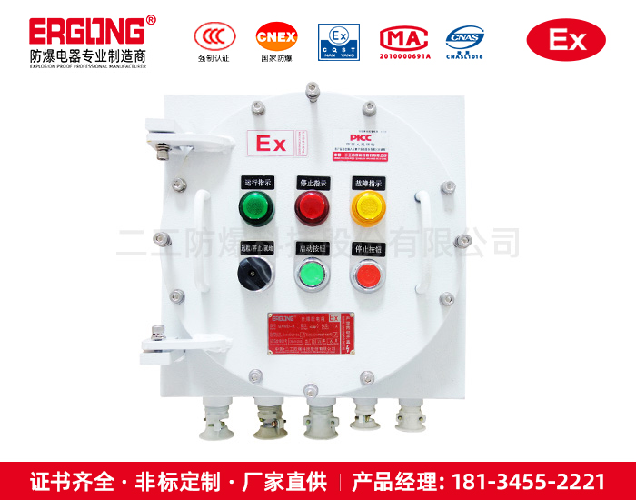 防爆配电箱（柜）-实力厂家