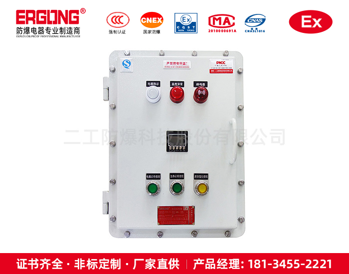 防爆配电箱（柜）-19