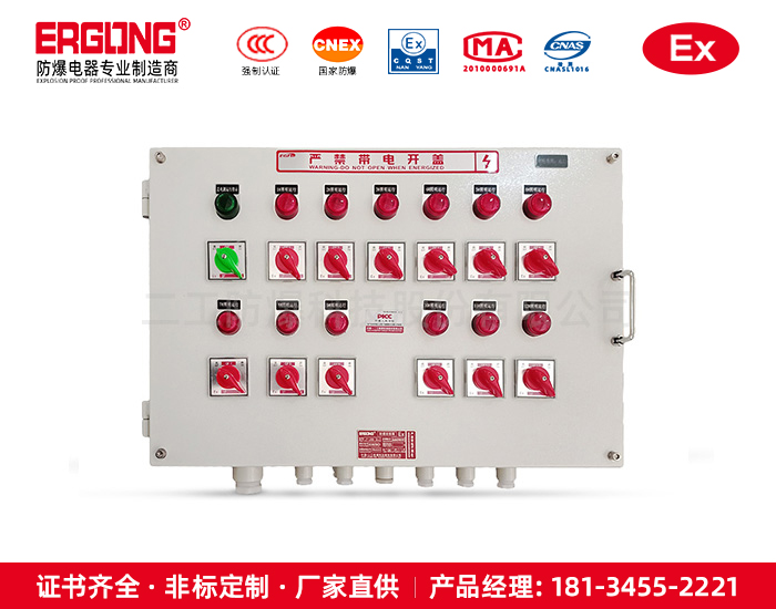 防爆配电箱（柜）-21