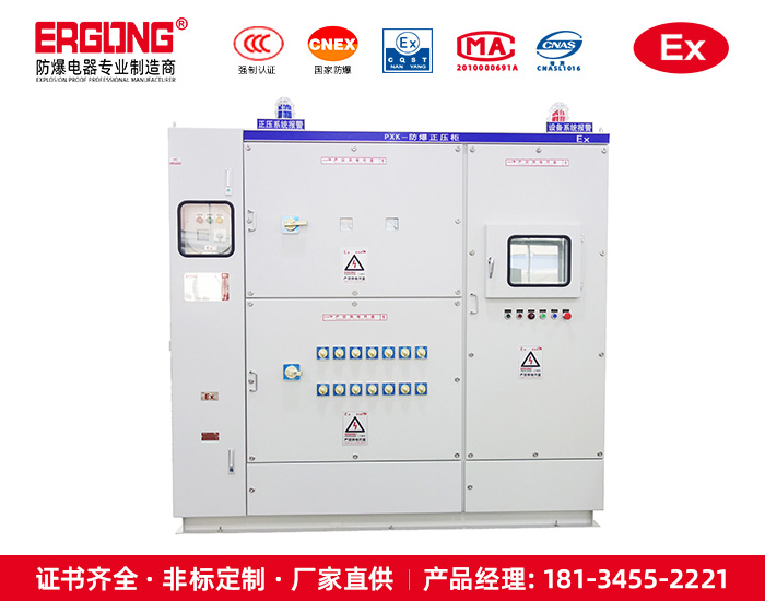 防爆正压柜-17
