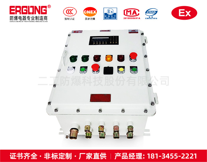 防爆仪表控制箱-10