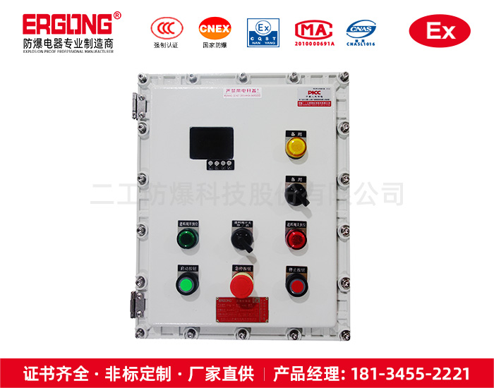 防爆仪表控制箱-14