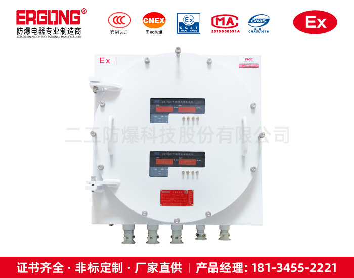 防爆仪表控制箱-8