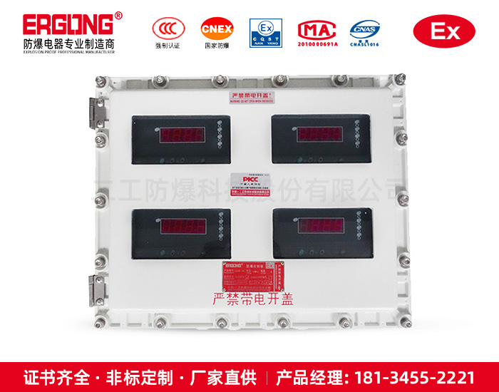 防爆仪表控制箱-12