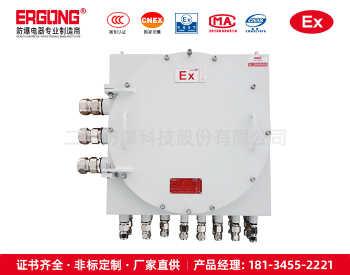 防爆接线箱-8