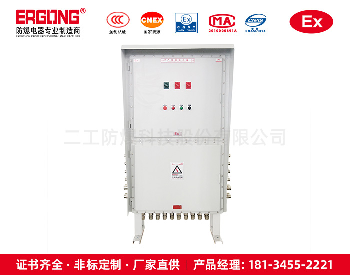 防爆控制箱（柜）-不锈钢