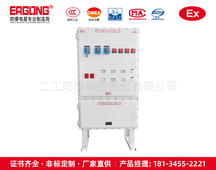 防爆控制箱（柜）-13